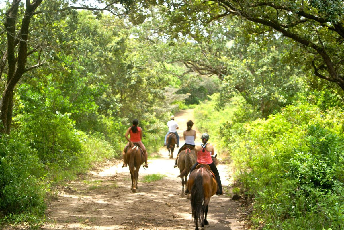 Vida Aventura Ranch Tanques Exterior foto